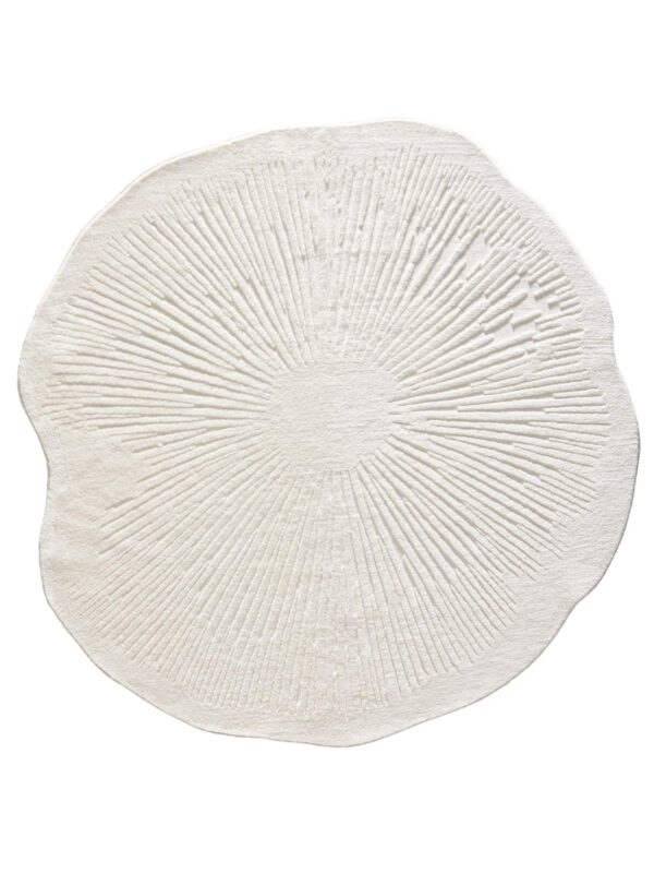 Waschbarer Teppich Pam Creme 60007855-62104
